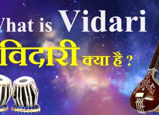 What is Vidari विदारी क्या है